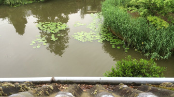 4 Dakramen plaatsen in Oud beijerland 